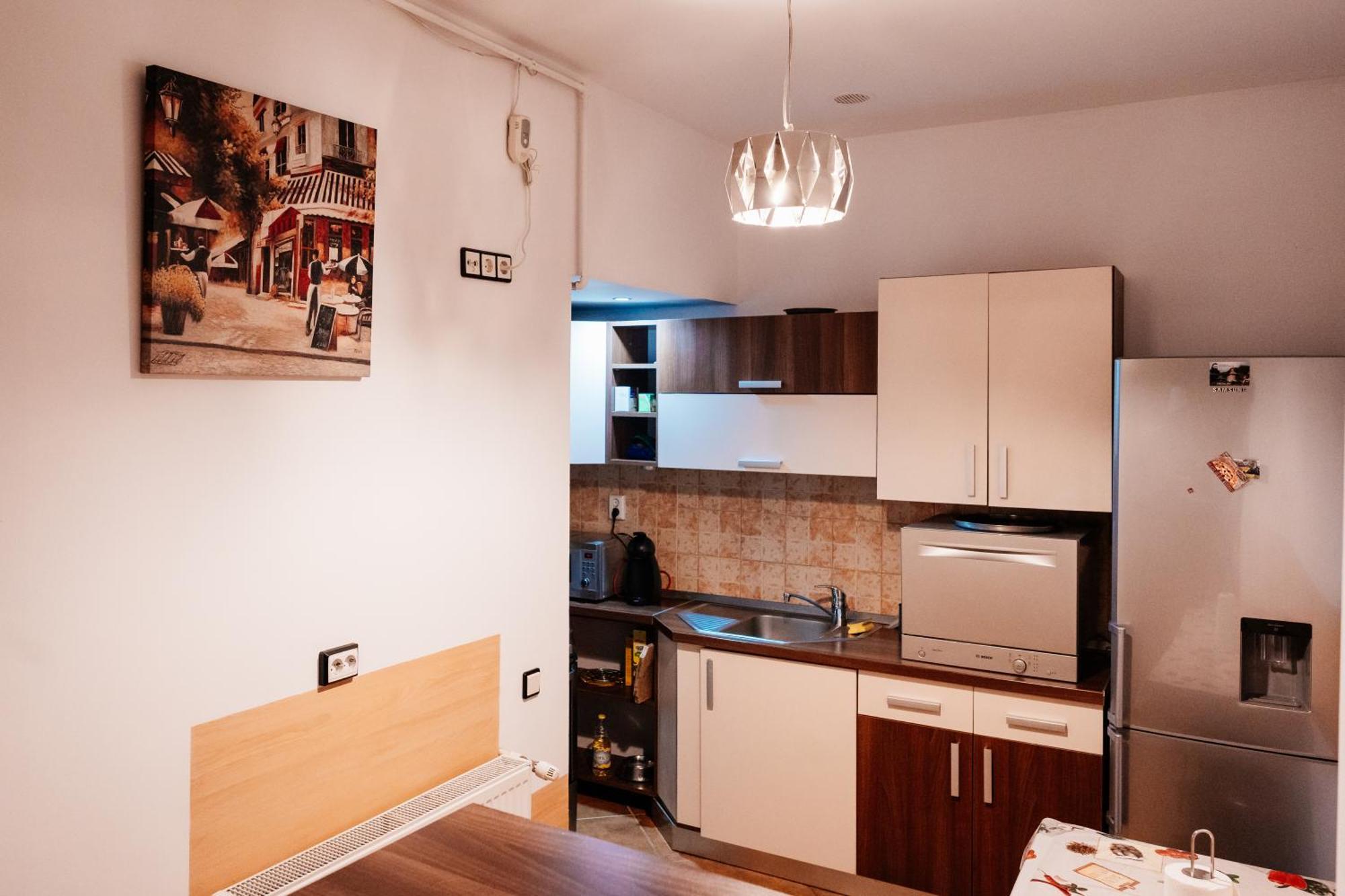 Maan Central Apartment Pet Friendly Location Брашов Екстер'єр фото